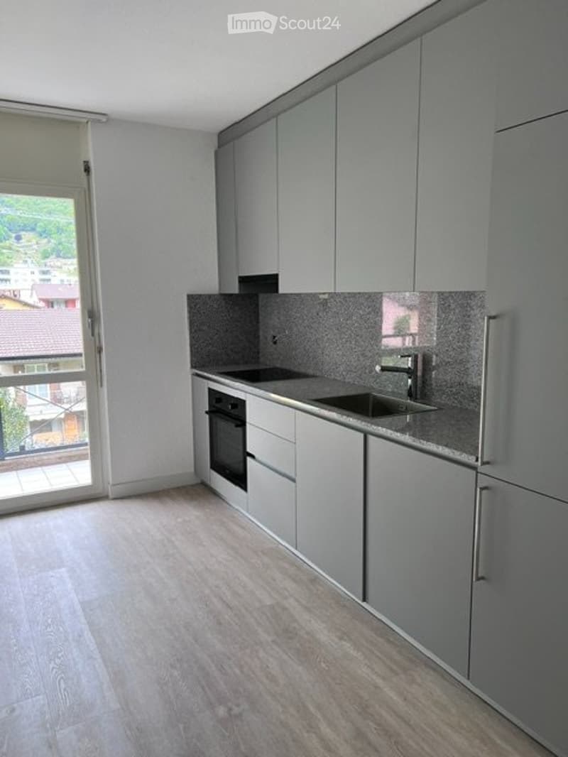 Affittasi luminoso 3,5 a Bellinzona (1)