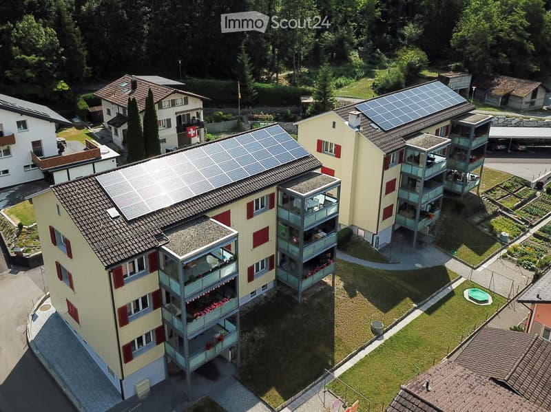 Wohnung mit grossem Balkon (5)