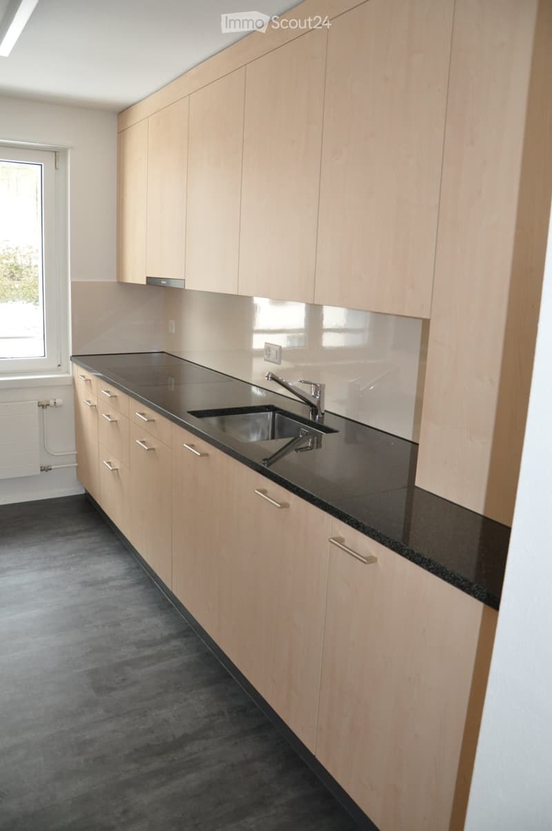 Wohnung mit grossem Balkon (1)