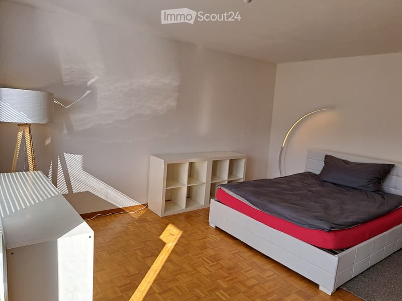 Frauen WG, möbliertes Zimmer in Frauen-Wg nähe Zürich (1)