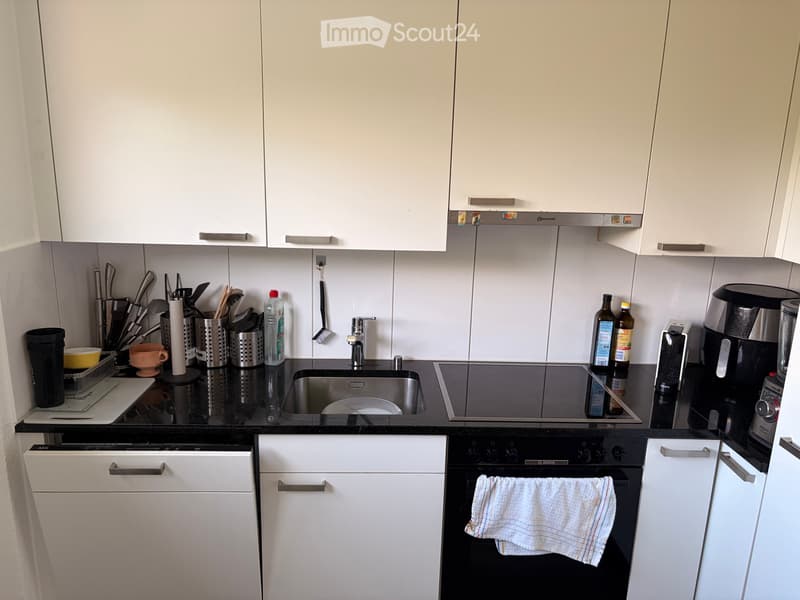3 Zimmer Wohnung (3)
