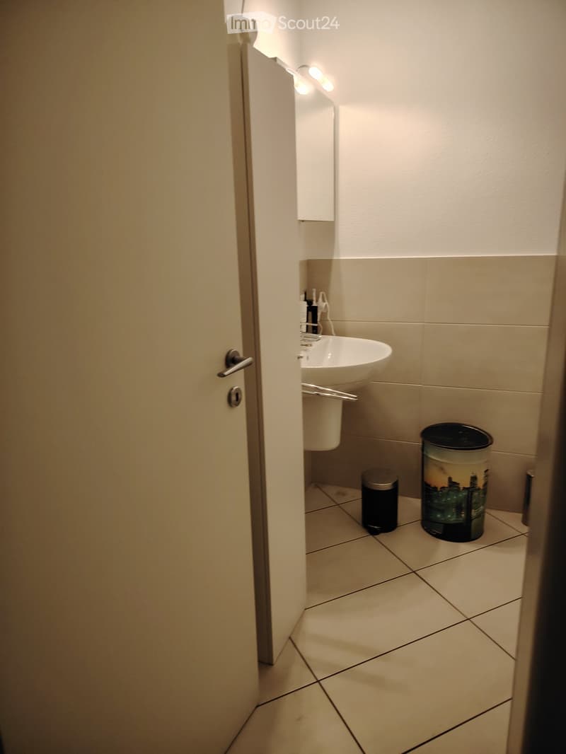 SUBENTRANTE MODERNO APPARTAMENTO 4,5 ARREDATO - MENDRISIO (4)