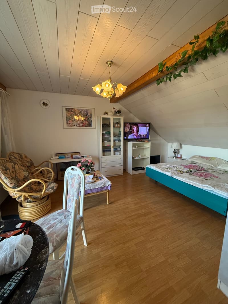 Studio Helle Dachwohnung Inkl. Möbel (5)
