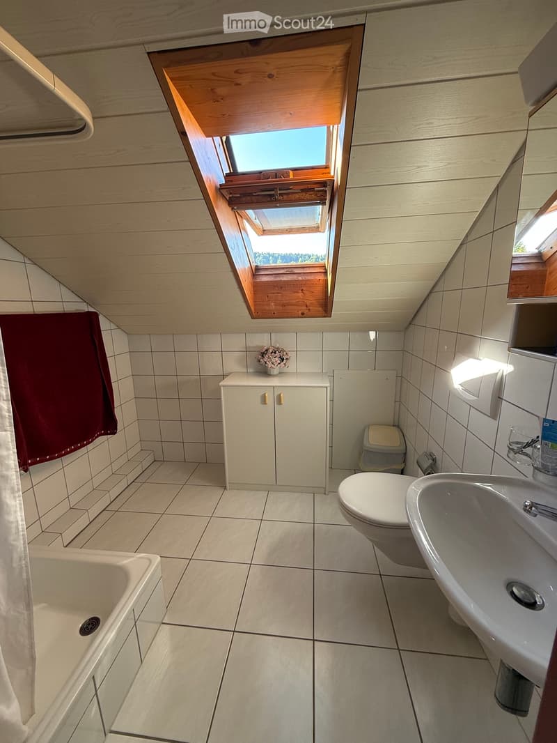 Studio Helle Dachwohnung Inkl. Möbel (2)