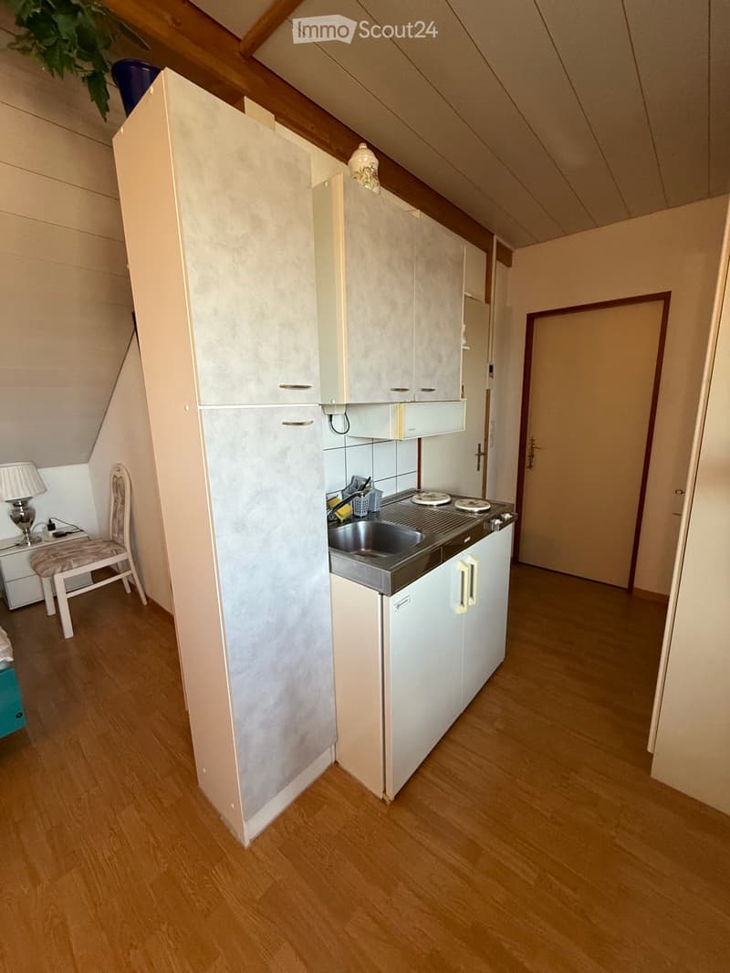 Studio Helle Dachwohnung Inkl. Möbel (4)