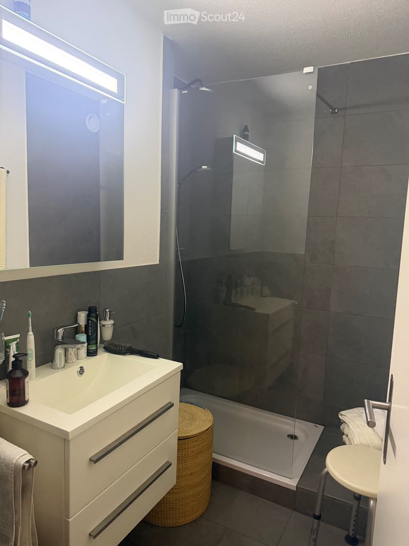 3.5 Zimmer Wohnung (2)