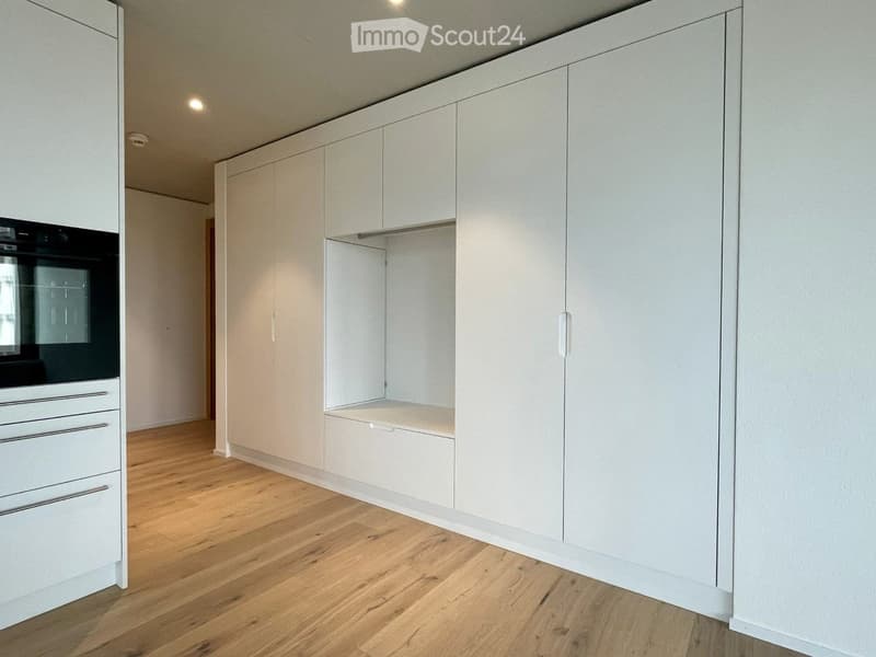 Moderne 2.5-Zimmerwohnung im Dreiklang Sursee (3)