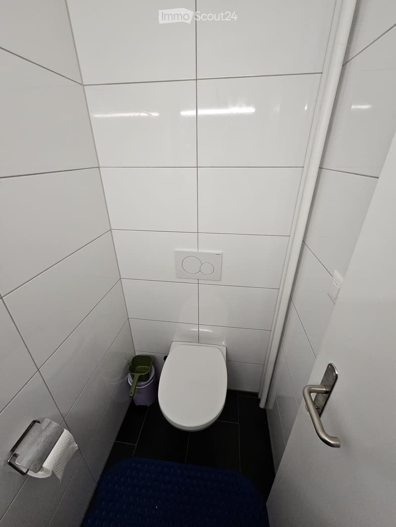 Grosse 4.5 Zimmerwohnung  frisch renoviert (3)
