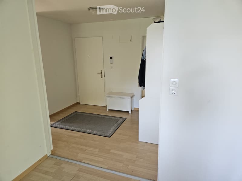 Grosse 4.5 Zimmerwohnung  frisch renoviert (5)