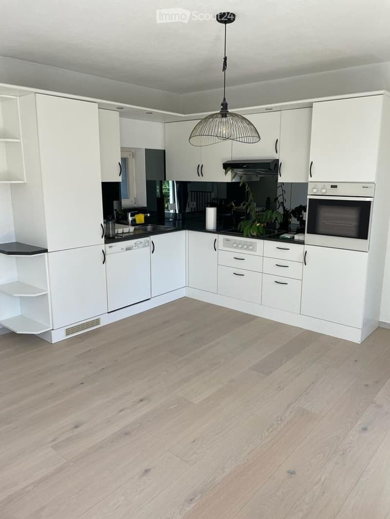 AFFITTASI A MINUSIO - DUPLEX 3 ½ LOCALI (2)