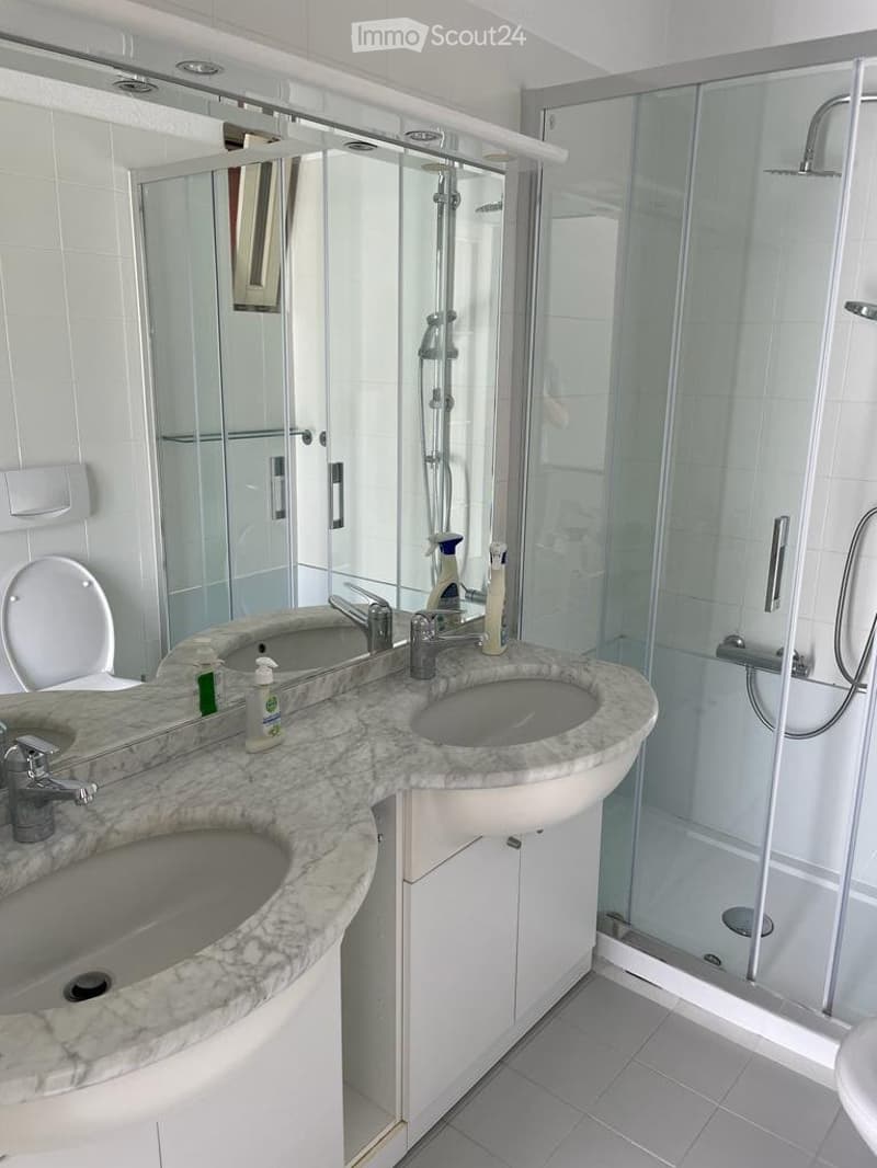 AFFITTASI A MINUSIO - DUPLEX 3 ½ LOCALI (4)