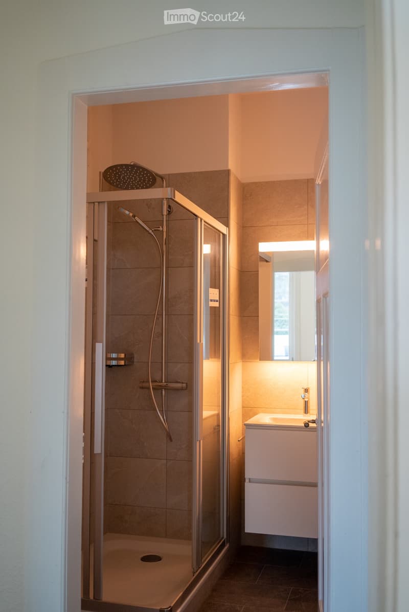 3 Zimmer-Wohnung (2)