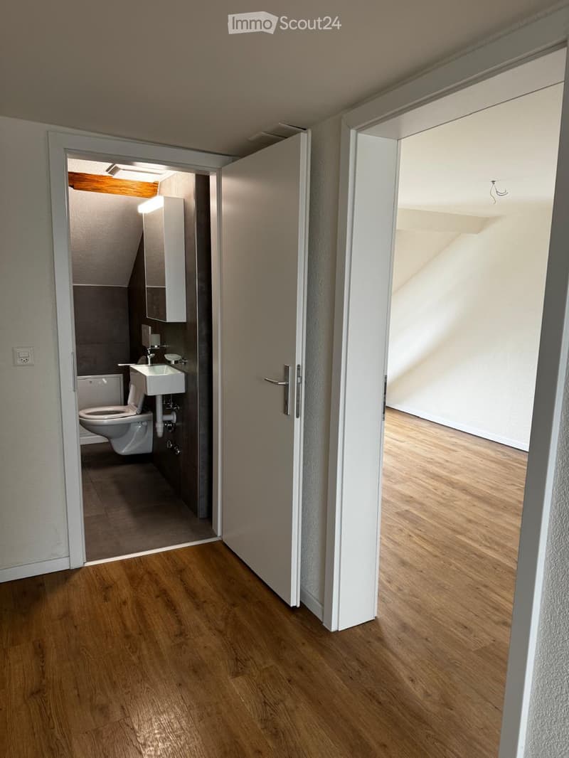 2,5 Zimmer Wohnung Kanton Zug (3)