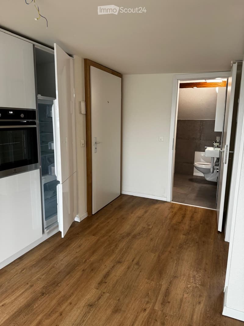 2,5 Zimmer Wohnung Kanton Zug (2)
