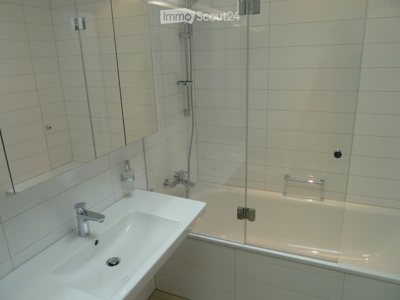 Attika 2.5 Wettingen (5)
