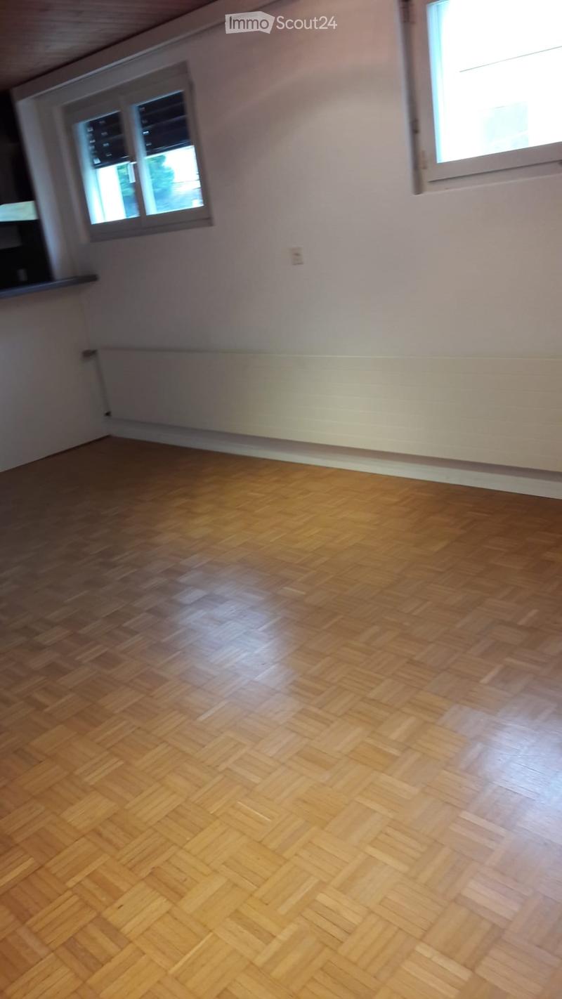Zu vermieten 1.5 Zimmerwohnung (5)