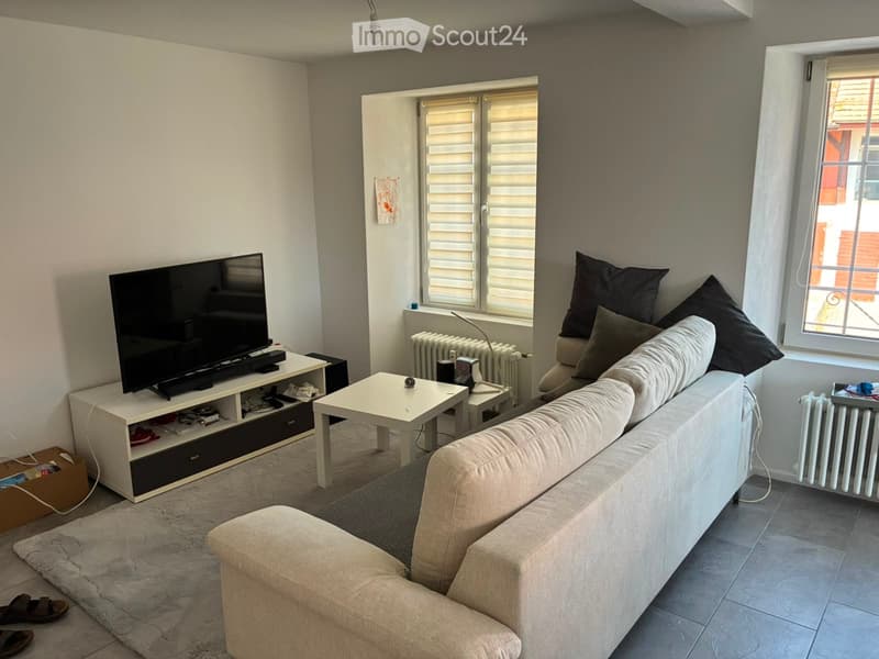 Joli appartement 2.5 (4)
