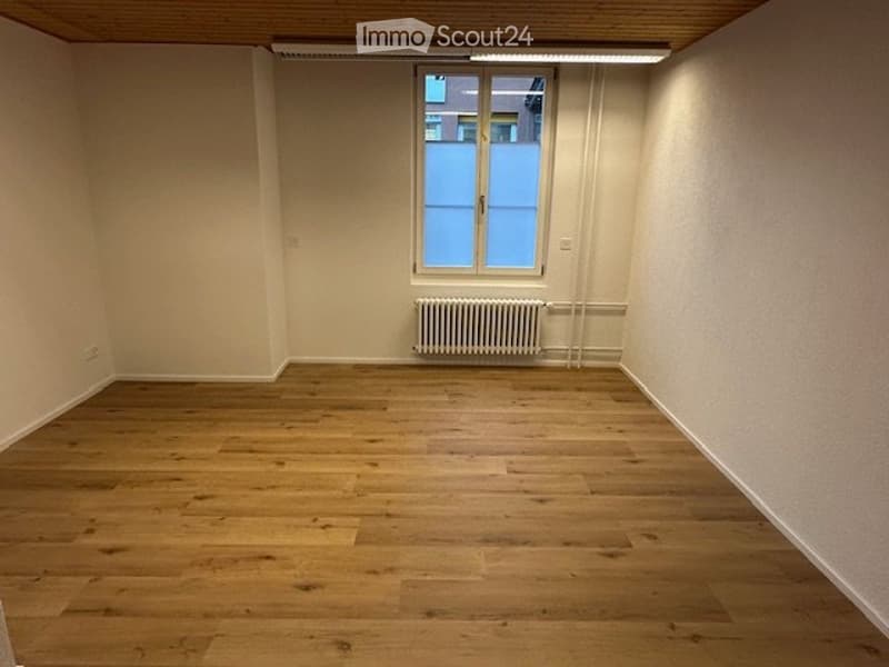 Vermiete neu renovierte 2,5 Zimmer Wohnung (1)