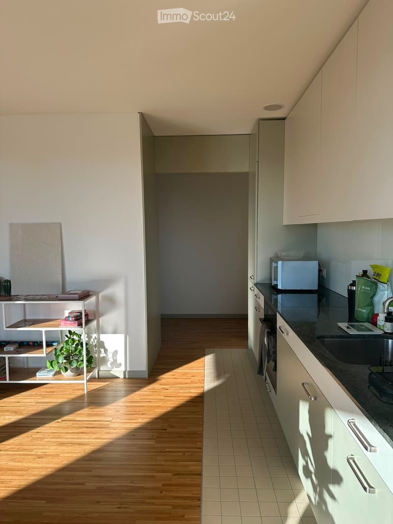 Moderne 3.5-Zimmer-Wohnung im Neubau in Dübendorf (4)