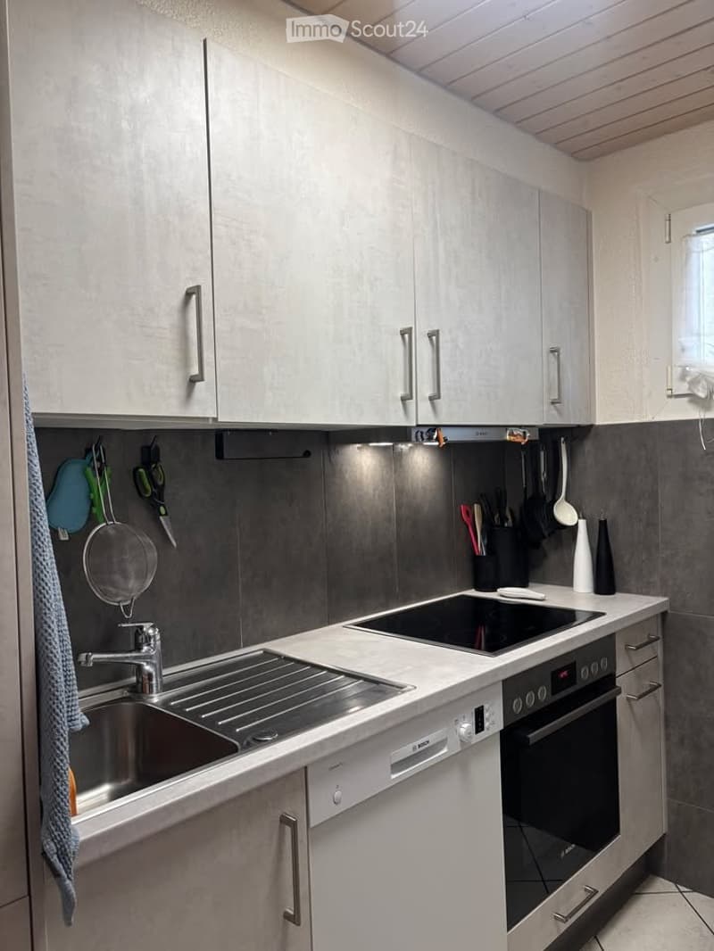 Spacieux 2 pièces avec terrasse à La Coudre, Neuchâtel (3)