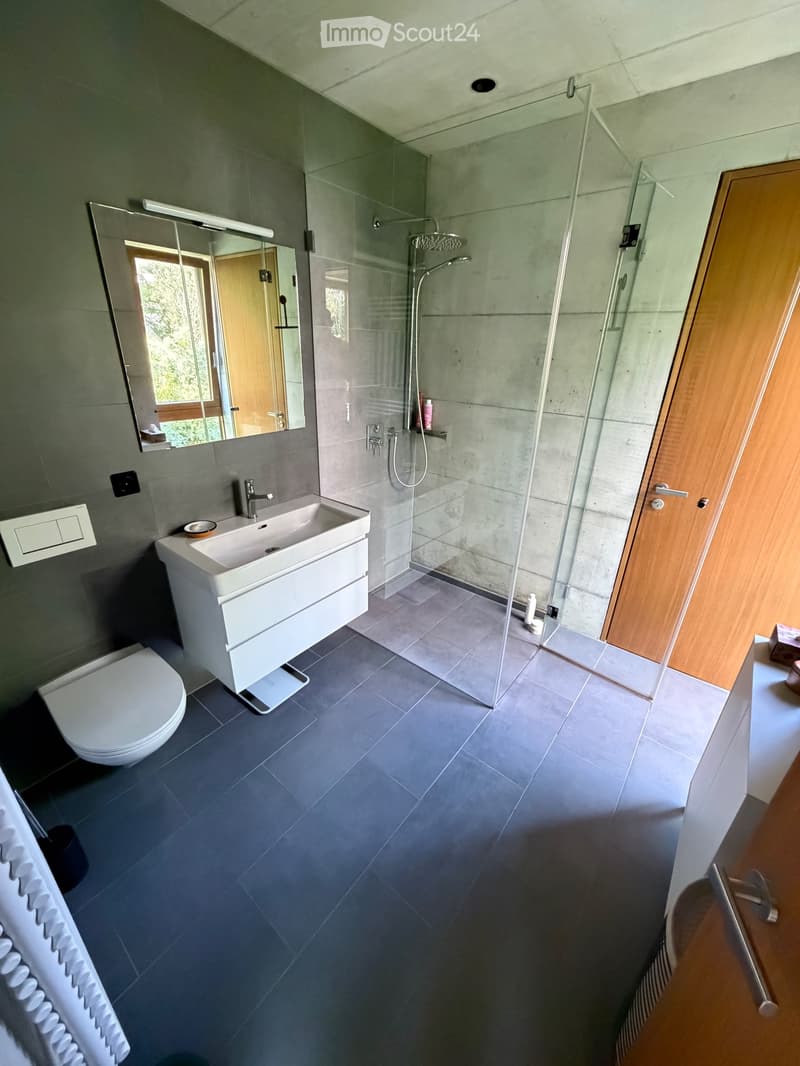 Untervermietung 3.5-Zimmerwohnung im Kreis 7, Zürich (3)