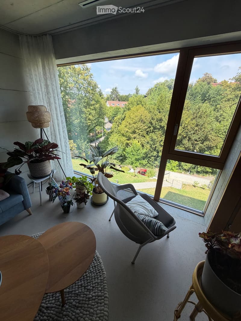 Untervermietung 3.5-Zimmerwohnung im Kreis 7, Zürich (4)