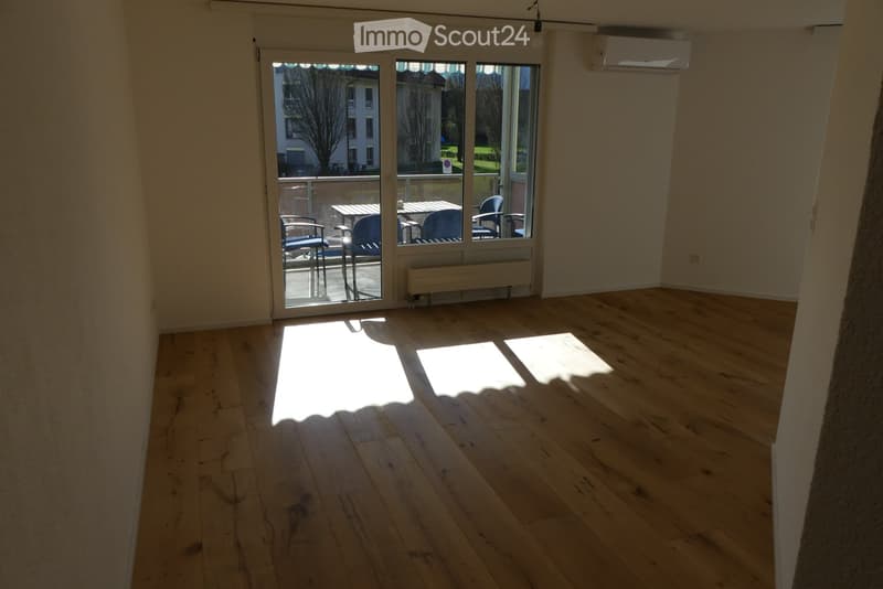 Moderne 2.5-Zimmer-Wohnung mit Bergblick in Haag (4)