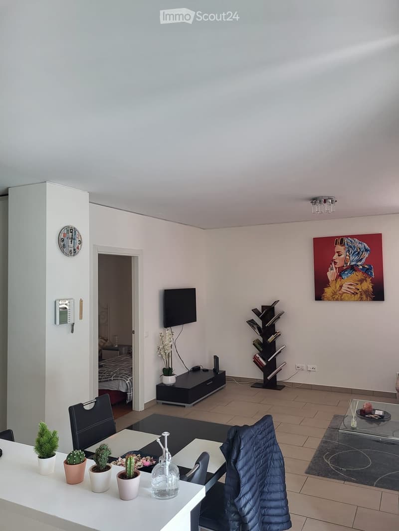 Appartamento a Lugano per affitto breve (4)