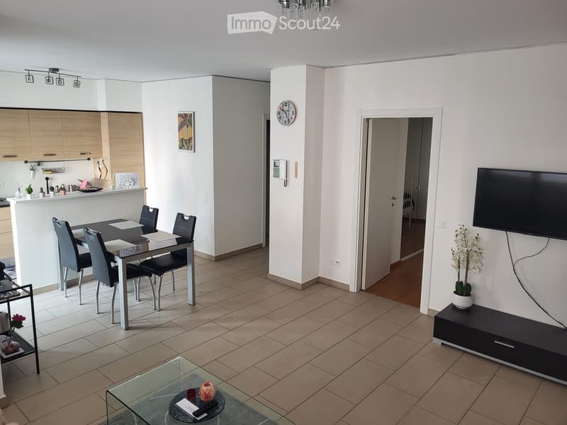 Appartamento a Lugano per affitto breve (3)