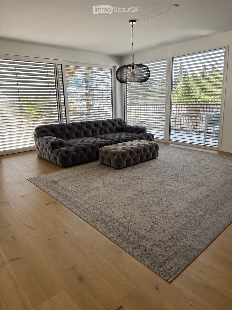 Exklusive 4.5-Zimmer-Attikawhg in Reinach AG110 m² Terrasse (5)