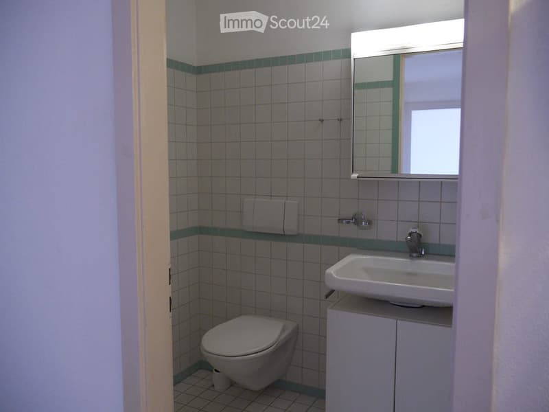 * 3,5 Zimmer-Wohnung in Rheinnähe * (5)