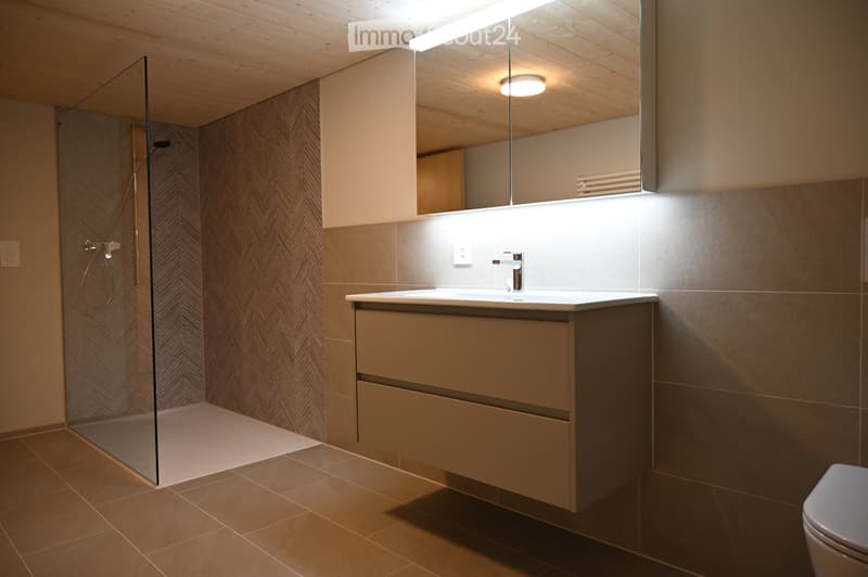 Exklusive neue 4-Zimmer-Altholzwohnung in Bauernhaus (4)