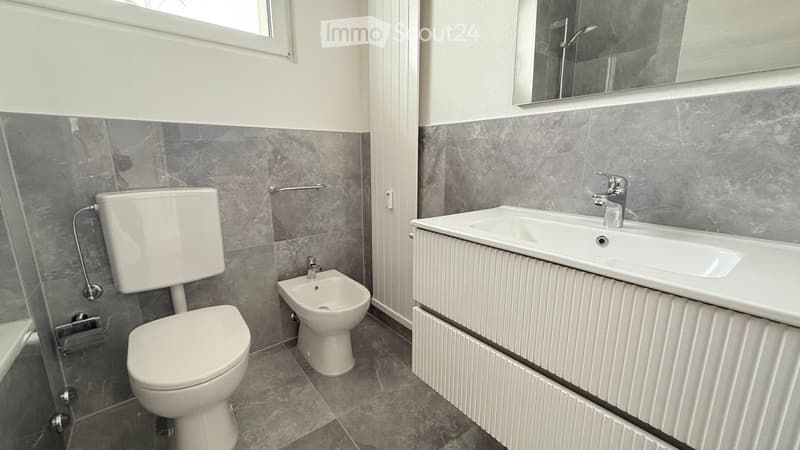4.5 locali ristrutturato in affitto a Coldrerio (9)