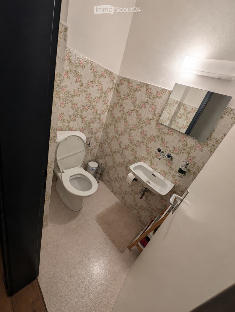 Cercasi subentrante per 3.5 a Giubiasco (2)