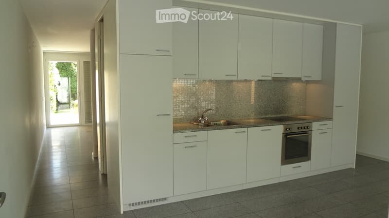 Soleggiato Triplex a Ponte Capriasca (5)