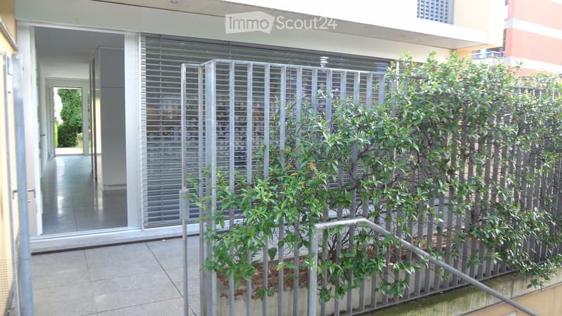 Soleggiato Triplex a Ponte Capriasca (1)