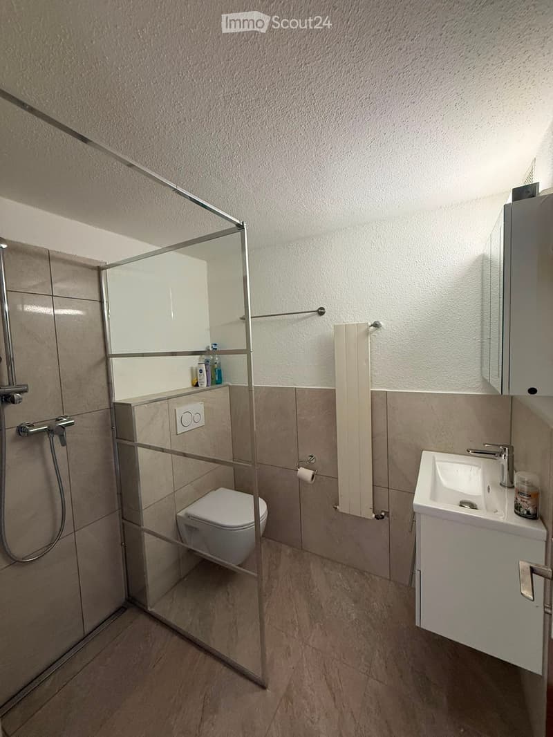 Wohnung an zentraler und ruhiger Ort (5)