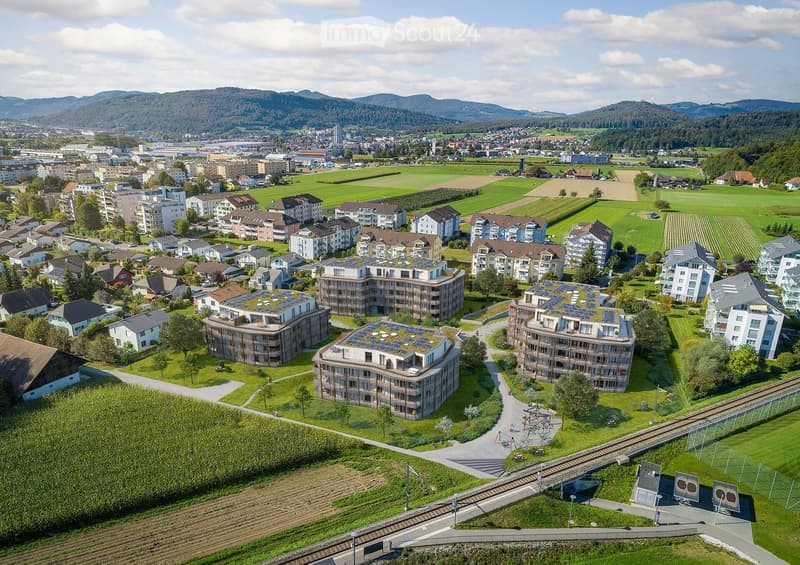 2.5 Zi-Wohnung _ Erstbezug (4)
