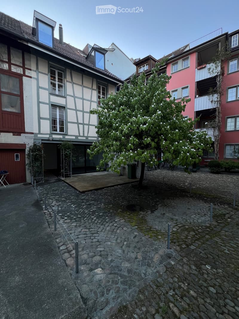 Frisch renoviertes 7.5-Zimmer-Altstadthaus (4)