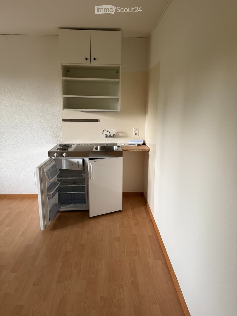 Helles Studio Zollikon - Haltestelle Rehalp vor der Haustüre (2)