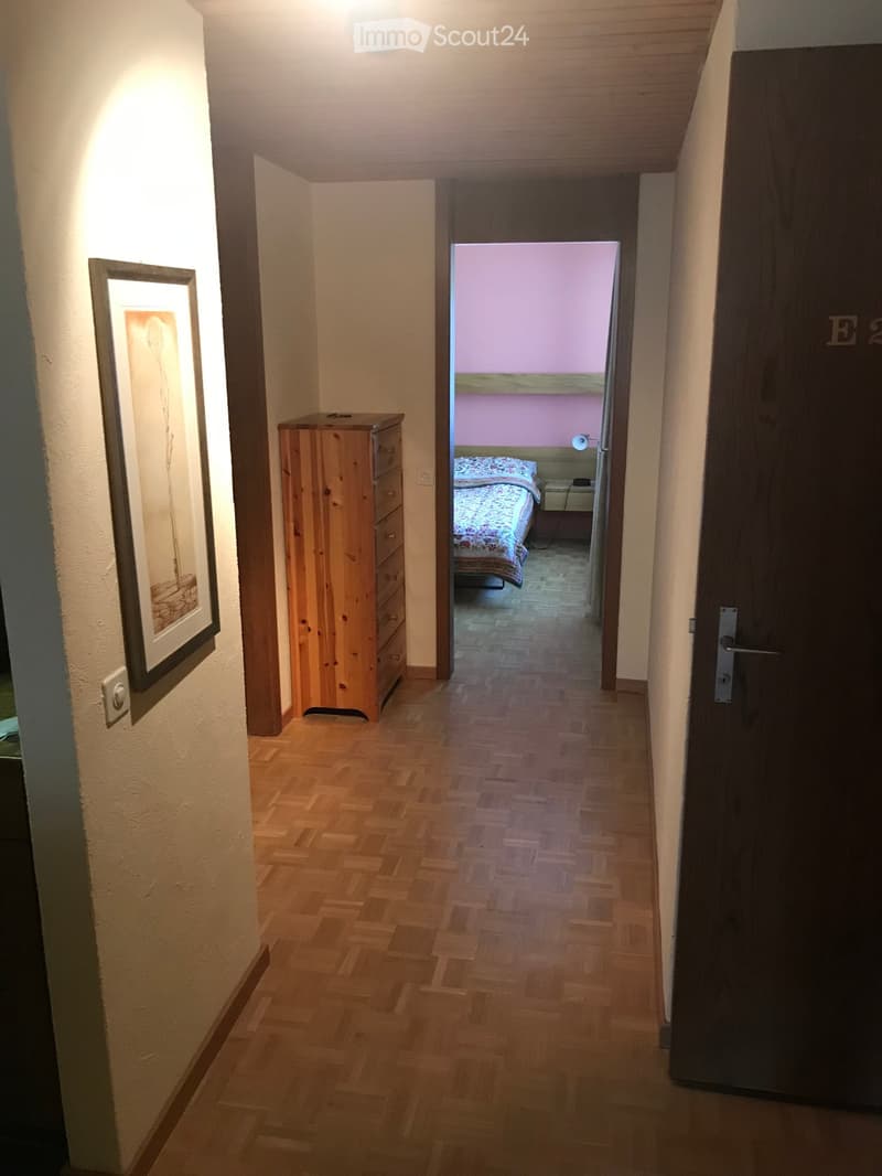AFFITTASI APPARTAMENTO DA 2.5 LOCALI A S. BERNARDINO (CH-GR) (5)
