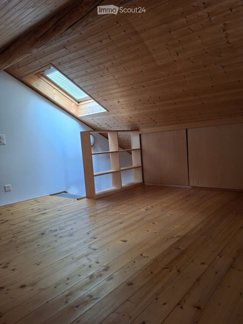 Grazioso appartamento con vista lago a Brissago (3)