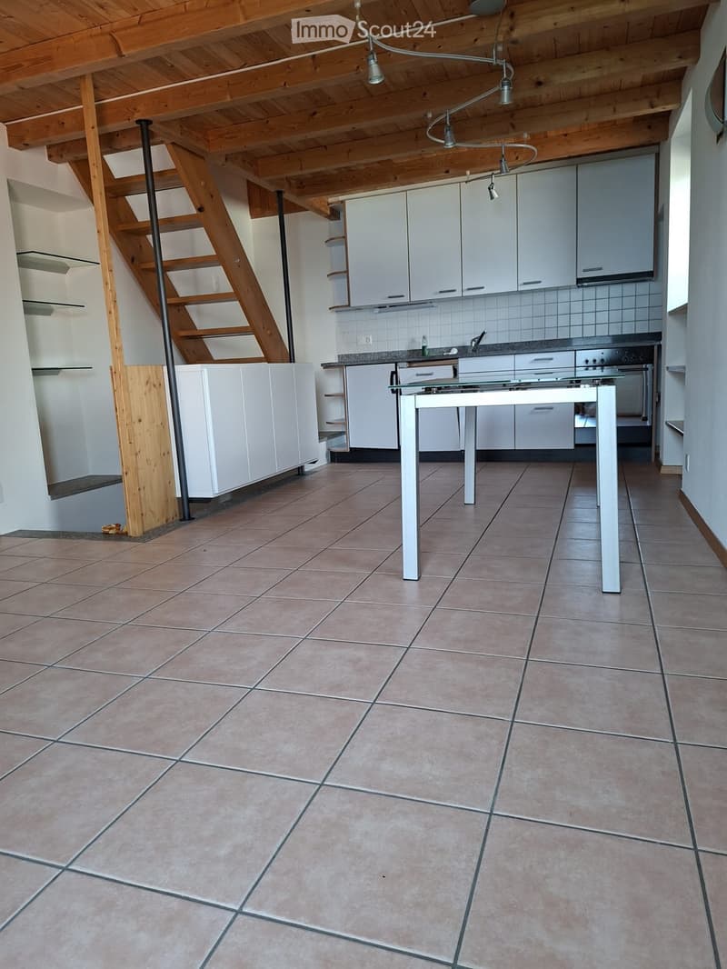 Grazioso appartamento con vista lago a Brissago (5)