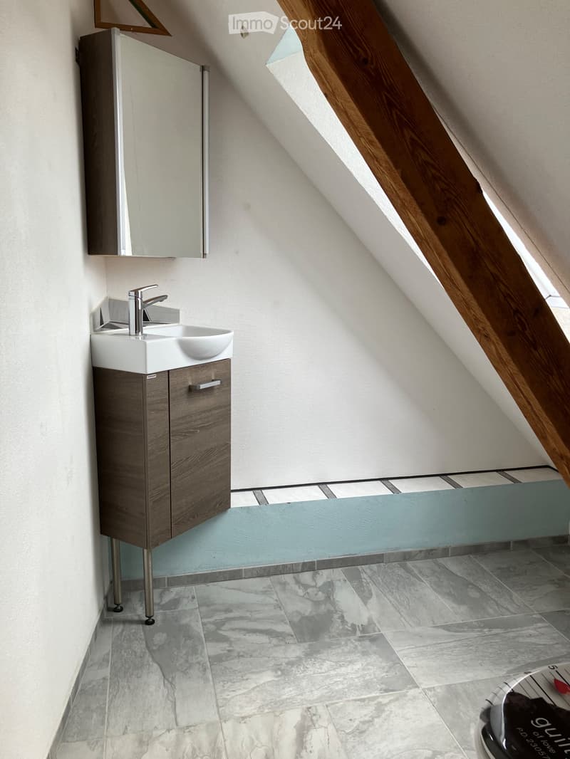 4,5 Zi- Wohnung (3)