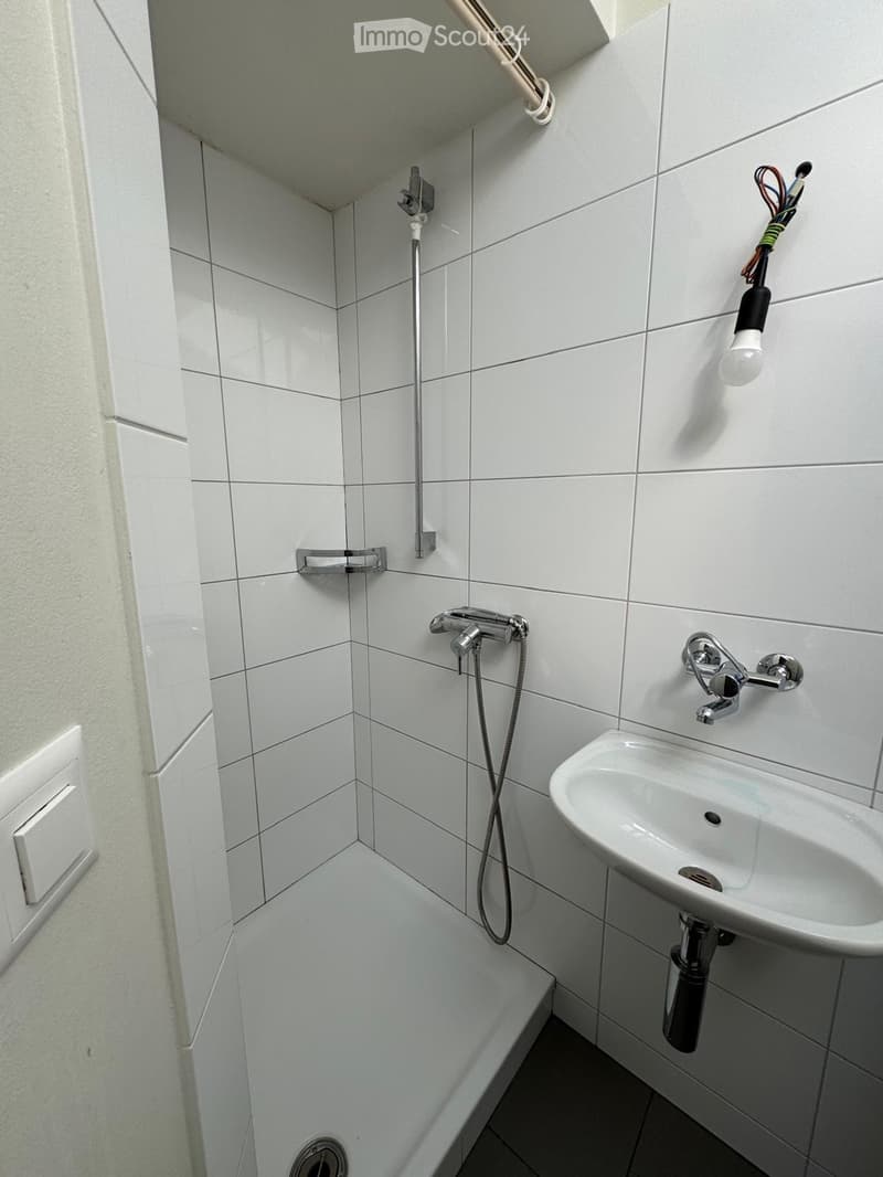 2 1/2 Zimmer Wohnung (5)