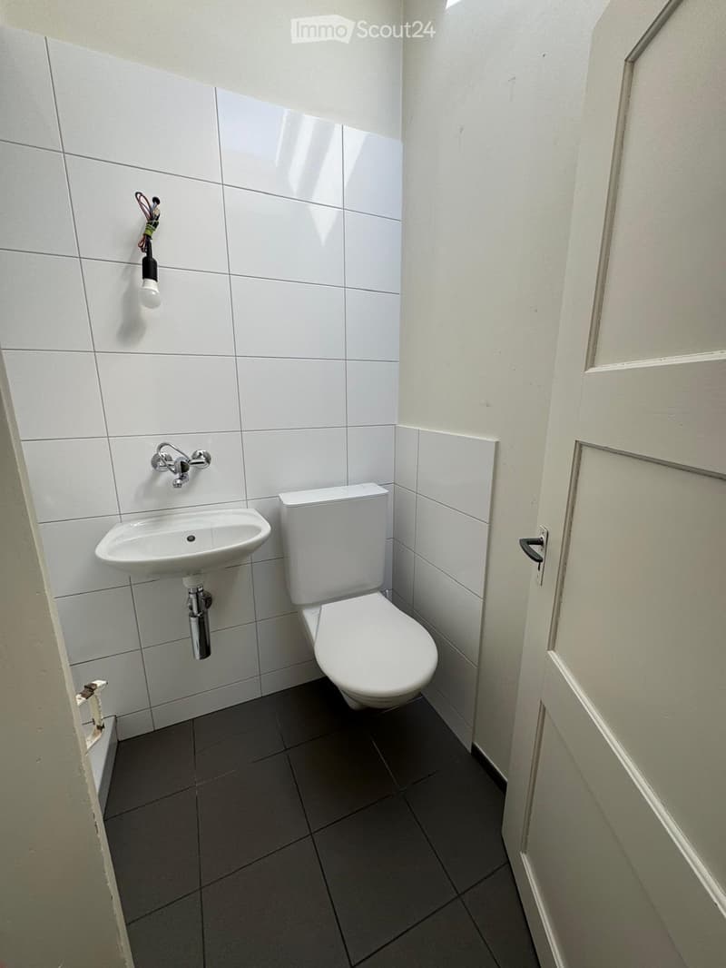 2 1/2 Zimmer Wohnung (4)