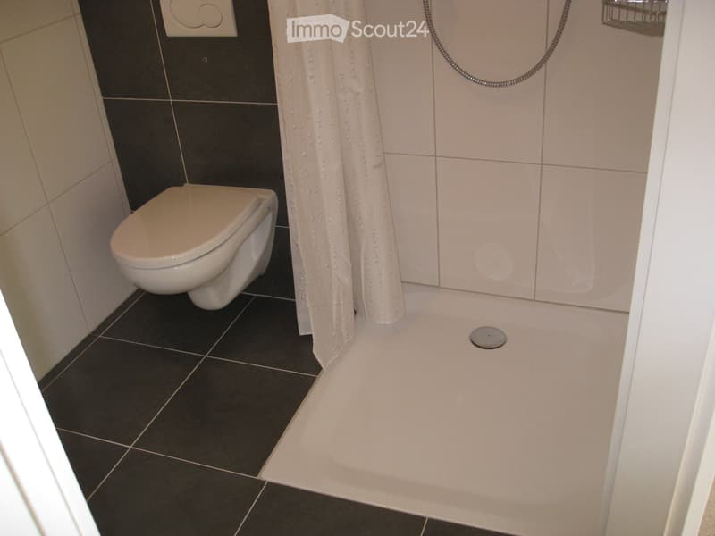 4.5 Zimmer, EG 92 m², Hauptstrasse 22 in Oltingen (10)