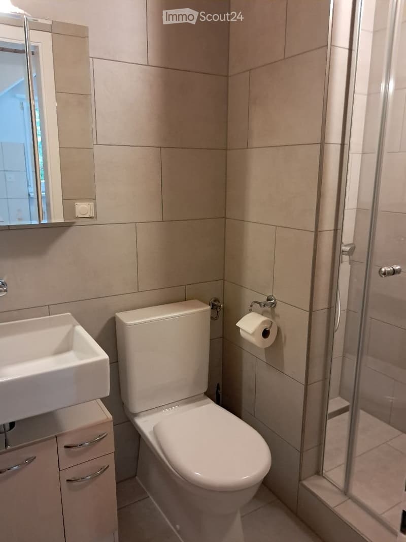 Wohnung vermieten (4)