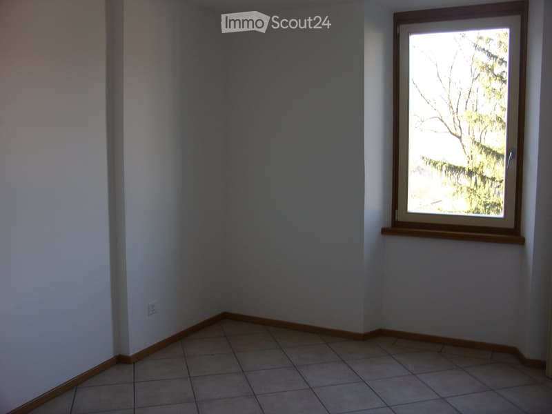 Appartamento 2 locali (2)