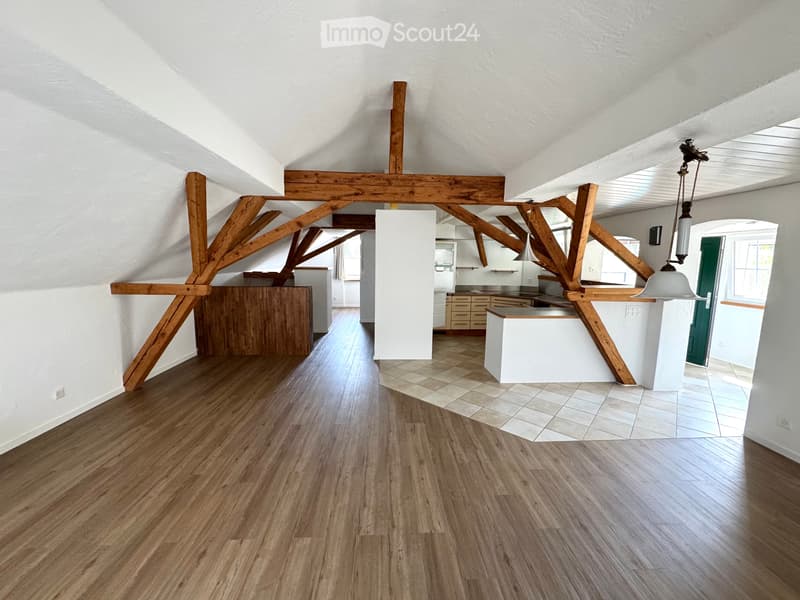 Helle 3 -Zimmer-Dachwohnung mit Loft-Charakter und Weitblick (1)